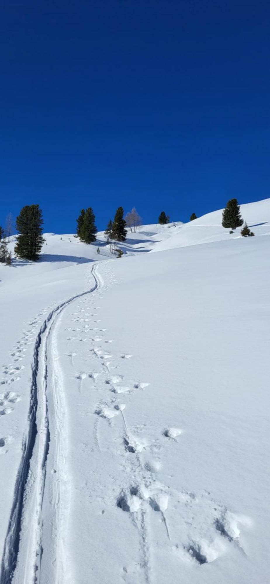 Neukirchen am GroßvenedigerAm Waldrand 252アパートメント エクステリア 写真